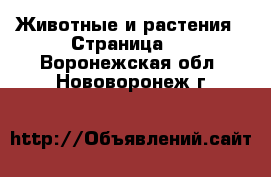  Животные и растения - Страница 6 . Воронежская обл.,Нововоронеж г.